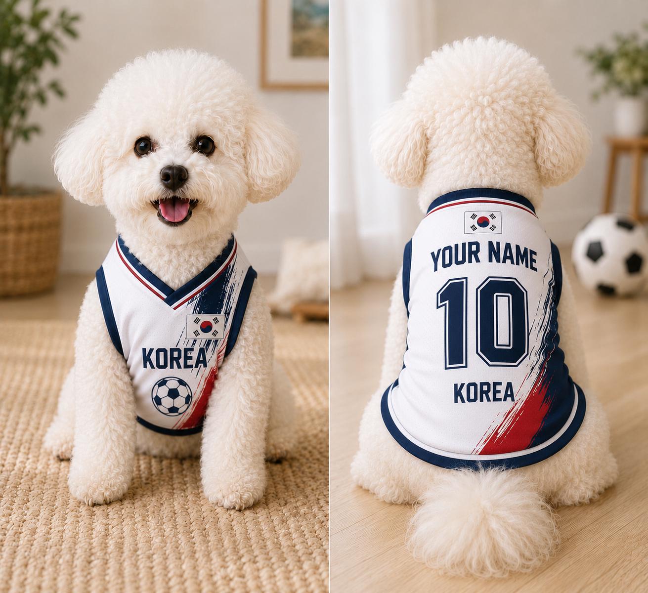 Korea Republic real jersey product image